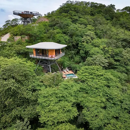 Suitree Experience Hotel