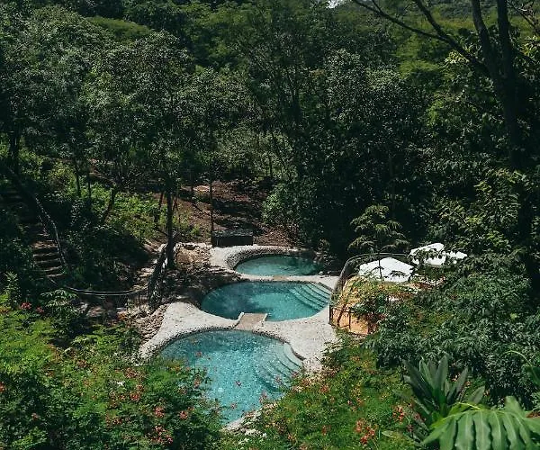 Suitree Experience