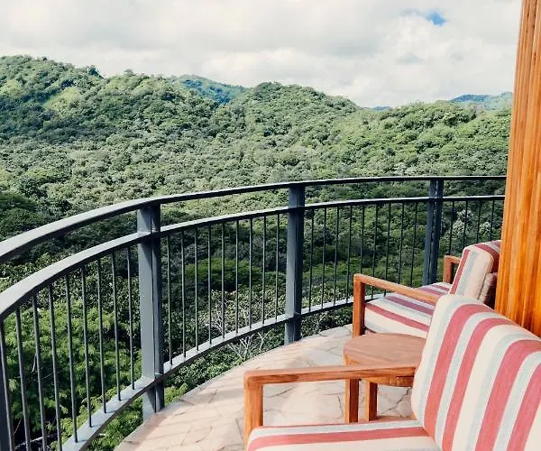 Suitree Experience Hotel