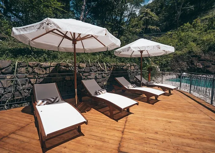 Suitree Experience Hotel