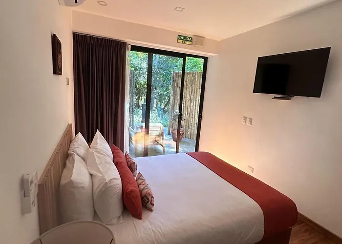 Hotel Suitree Experience