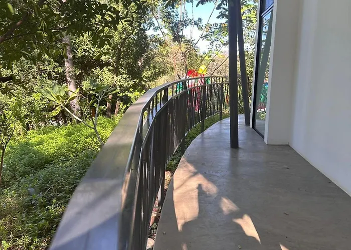 Hotel Suitree Experience