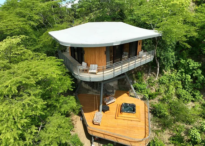 Hotel Suitree Experience