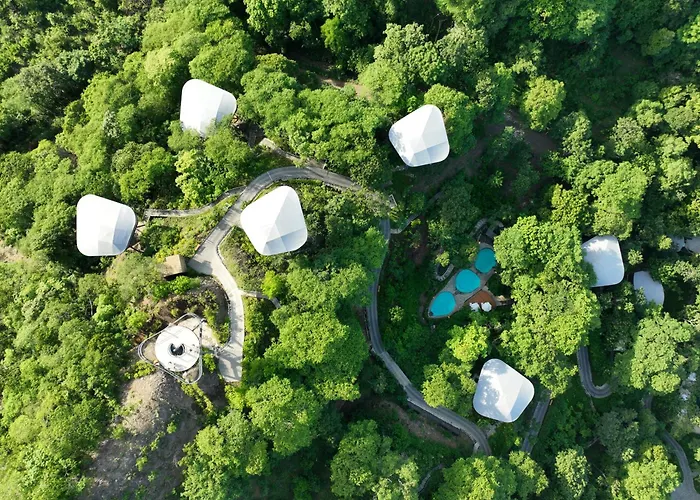 Hotel Suitree Experience 4*