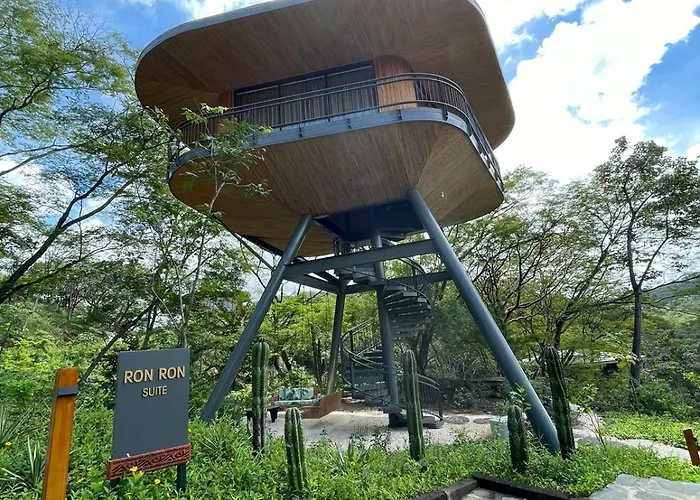 Hotel Suitree Experience