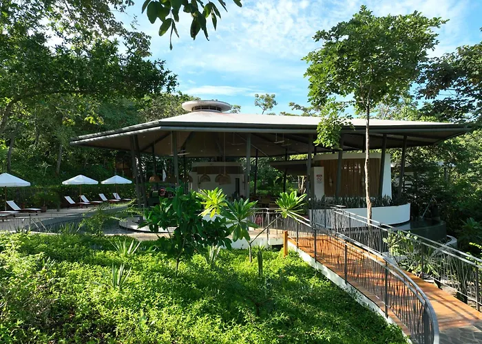 Suitree Experience Hotel