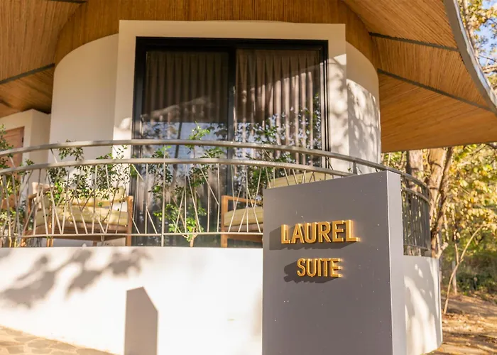 Suitree Experience Hotel