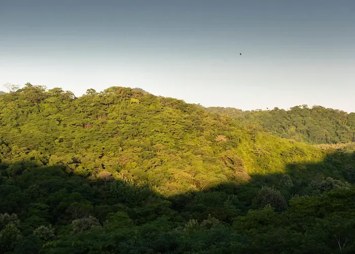 Suitree Experience 4* Sardinal (Guanacaste)