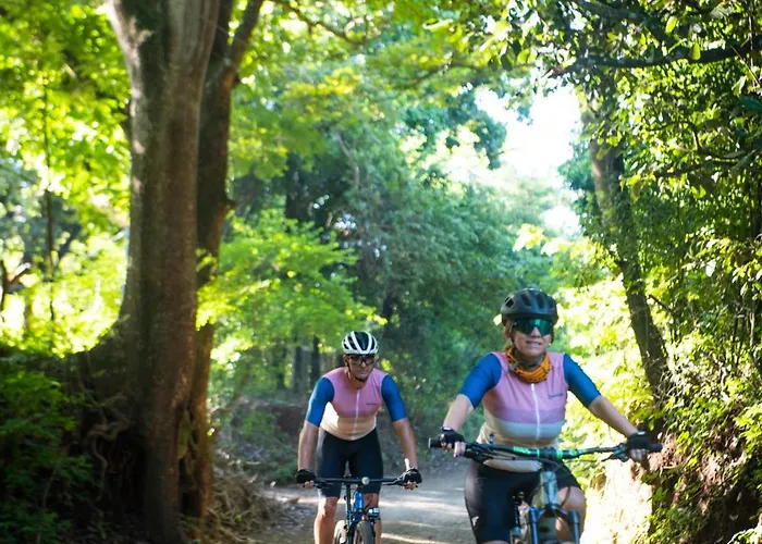 Suitree Experience Sardinal (Guanacaste)